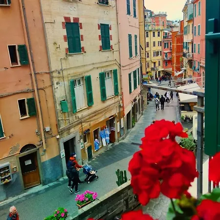 Maison Exotique - / Cinque Terre / Travel