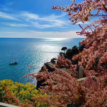 Maison Exotique - / Cinque Terre / Travel *